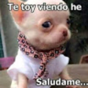 Meet your Posher, Efrain